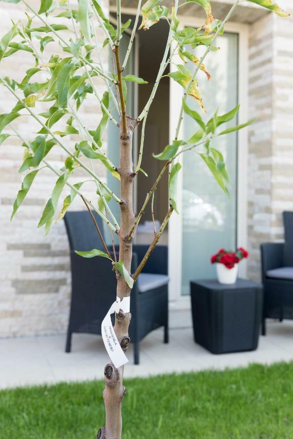 Guest house Relais Dei Mandorli *